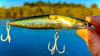 You Won’t Believe How It Swims !    NEW SHIMANO LURE REVIEW