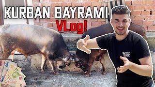 Aile Turu , Harçlık , Et döner | Kurban Bayramı VLog