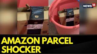 Bengaluru Amazon Parcel Snake News | Bengaluru Couple Finds Cobra In Amazon Package,Company Responds