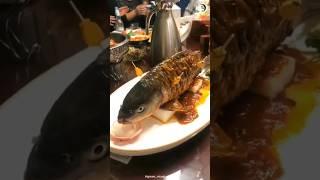 Рыба инь-янь или живая еда