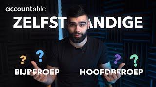 ZELFSTANDIGE | Hoofdberoep of bijberoep?