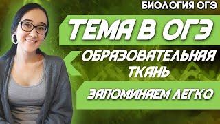 ОГЭ Биология 2022 | Молниеносная подготовка по теме образовательная ткань