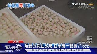 陸最夯網紅水果 白草莓一顆賣215元｜TVBS新聞