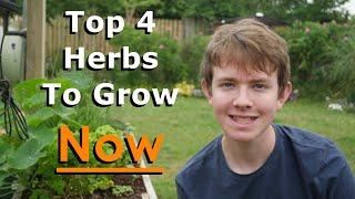 My Top 4 Herbs That I Grow & How To Get FREE HERBS