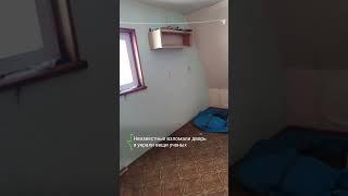 Научную станцию "Адыгене" разгромили вандалы
