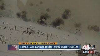 Family says landlord not fixing mold problem