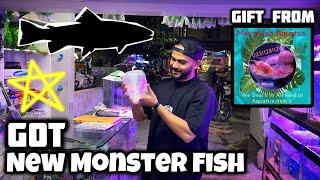 Got Monster Fish From MASHAALLAH AQUATIC | New Fish In Our FISHROOM - Imran's World