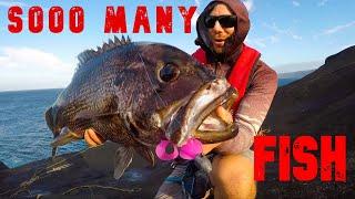 Most INSANE day of Fishing Ep33