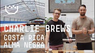 Brewing our Limited Edition Costa Rica Alma Negra I Padre Coffee