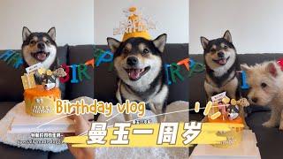 曼玉Manyu生日Vlog，曼玉一周岁啦！