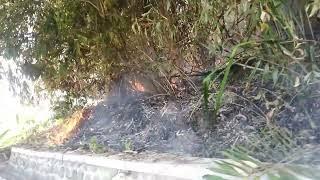 kebakaran hutan lindung majalengka