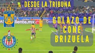 GOL DE CHIVAS CONEJO BRIZUELA | Tigres vs CHIVAS | Copa sky 2022 Liga MX | Reaccion desde la Tribuna