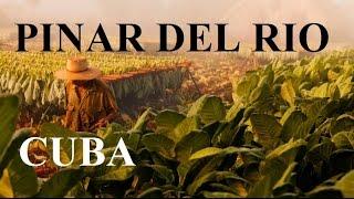 Cuba - Pinar del Rio ( Viñales Valley,Cigar Industry)  Part 13