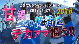 【相模湾アマダイ】冬の城ケ島、低活性でもデカアマ狙う!!（2018/01/27）五エム丸