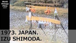 1973.JAPAN.IZU,Shimoda Port. The beach where Perry arrived.