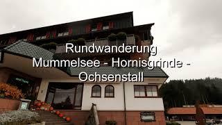 Rundwanderung Hornisgrinde