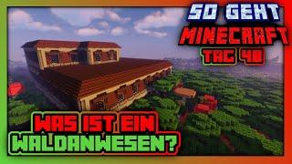 Wie findet man ein Waldanwesen in Minecraft 1.21  So geht Minecraft - Tag 48