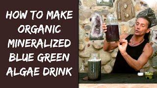 How To Make Organic Mineralized Blue Green Algae Drink | Dr. Robert Cassar