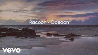 Racoon - Oceaan