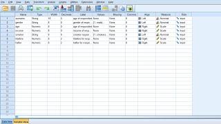 SPSS Data Collection Tutorial In 16 Minutes