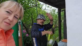 Вернулась на дачу не с пустыми руками) Огромные насекомые! Теперь капуста без белокрылки!