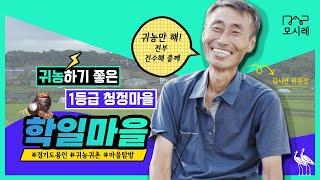 경기도 청정지역이곳에 살고 싶다 용인 학일마을 마을기업│주말농장│용인 귀농귀촌│클라인가르텐│된장만들기체험│간장│유기농 된장│명절선물│고추장만들기│힐링│국내여행│귀농교육│귀촌