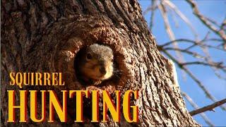 HUNTING SQUIRRELS | SPOT AND STALK