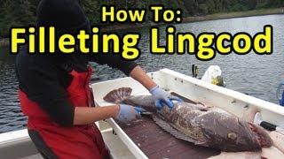 HOW TO FILLET LINGCOD - FISHING TIPS