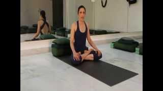 Yoga With Sapna Power Yoga Video - 7 minute Clip