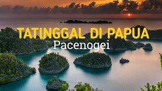 Tatinggal di Papua - Pacenogei