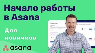 Начало работы в Asana (обзор для новичков)