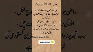Nabi Saw Ki Batein | Nabi Saw Ki Hadees #islam #islamic #hadees