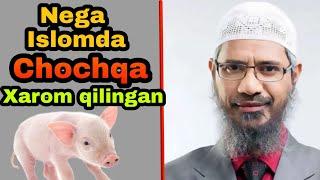 Islom dinida Chochqa goshti nega xarom Zakir Naik, Ислом динида чочка гошти нега харом Др.Закир Наик