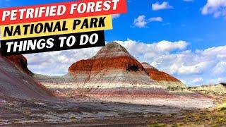 18 TOP Things To Do In Petrified Forest National Park + The MOST ESSENTIAL Tips