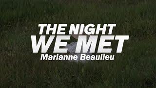 Marianne Beaulieu - The Night We Met  (Lyrics) -Cover-