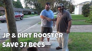 37 Bees With Dirt Rooster