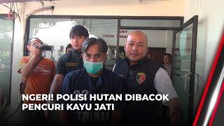 Terpergok saat Curi Kayu Jati, Pencuri Bacok Polisi Hutan | OneNews Update