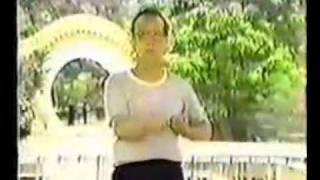 广州 咏春,岑能,黄智烨 Sum Nung Sil Lim Tao part 2 and Tom Wong Wing Chun