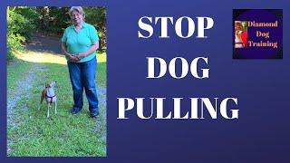 Stop A Dog Pulling On Leash