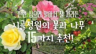 SUB) 한번 심으면 알아서 잘 자라는 시골정원의 꽃과 나무 15가지 추천! | 시골집 | 주말농장 | 힐링 | Korean Countryside Life | 시골정원 |