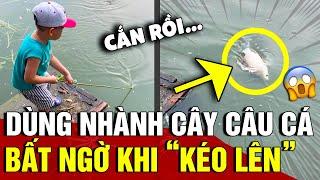 Dùng 'NHÀNH CÂY NHỎ' để câu cá, cậu bé bất ngờ mang về 'CHIẾN LỢI PHẨM' trong tích tắc | Tin 3 Phút