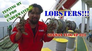 Lobster Haul!!! Throwing GoPro H5 Underwater | Seaman VLOG 023