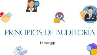 Principios de Auditoría