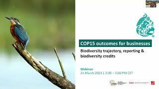 Webinar | COP15 outcomes: trajectory, reporting & biodiversity credits