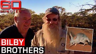 The perilous journey to save an iconic Aussie animal from extinction | 60 Minutes Australia