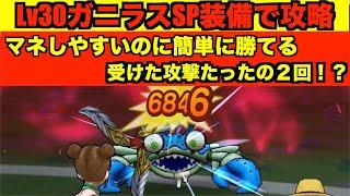 【ドラクエウォーク】ガニラスに攻撃させない！マネしやすい編成でLv30を簡単攻略！！