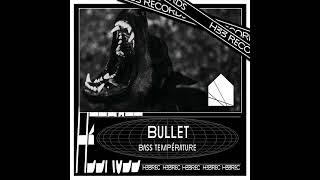 Bass Temp - BELIEVE [H33 Records]
