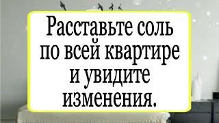 Расставьте соль по квартире и увидите изменения. | Тайна Жрицы |