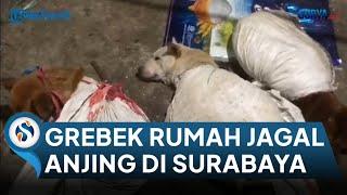 Pecinta Hewan Anjing di Surabaya Gerebek Rumah Penjagalan di Pesapen