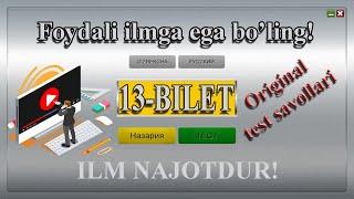 Test bilet-13